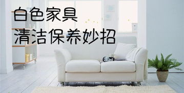 白色家居养护指南 从日常清洁到深层维护的完整攻略