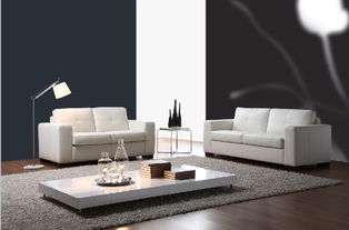 新年家居美容 家具清洁保养全攻略与日常保洁技巧